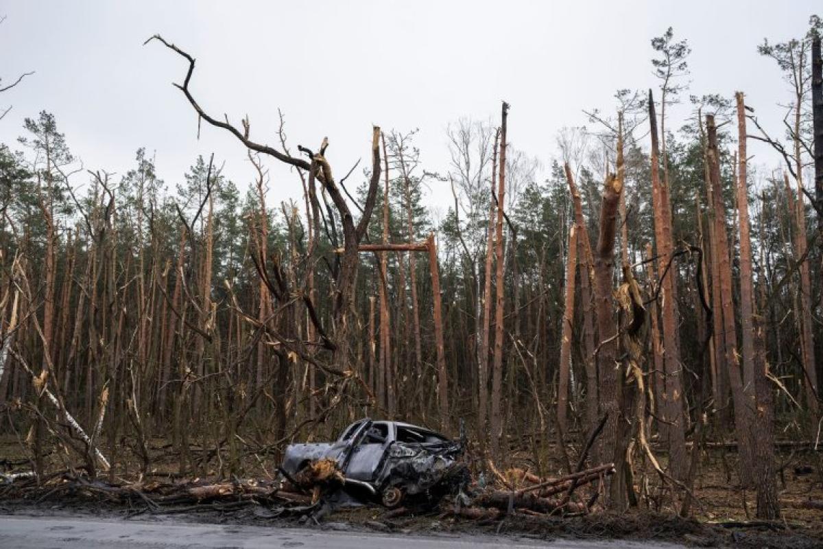 Окупанти завдали шкоди довкіллю Луганщини на 475 мільярдів гривень