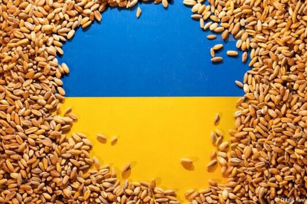Страна-агрессор заблокировала работу зерновой сделки: что известно Страна-агрессор заблокировала работу зерновой сделки: что известно