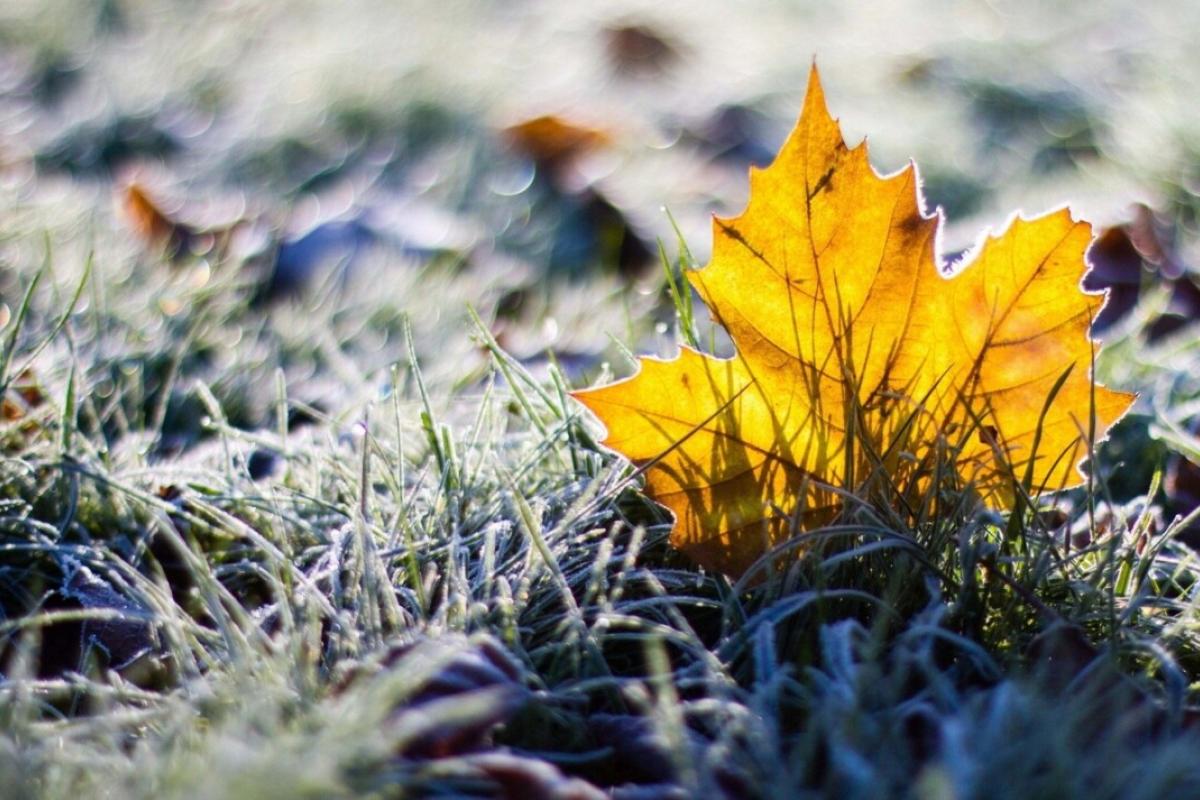 "Местами до минус двух градусов мороза": В Украине прогнозируется сухая, но холодная погода "Местами до минус двух градусов мороза": В Украине прогнозируется сухая, но холодная погода