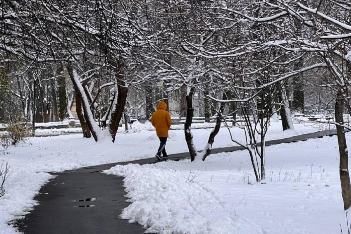 Очікується потепління: синоптик розповіла, якою буде погода в Україні 22 січня Очікується потепління: синоптик розповіла, якою буде погода в Україні 22 січня