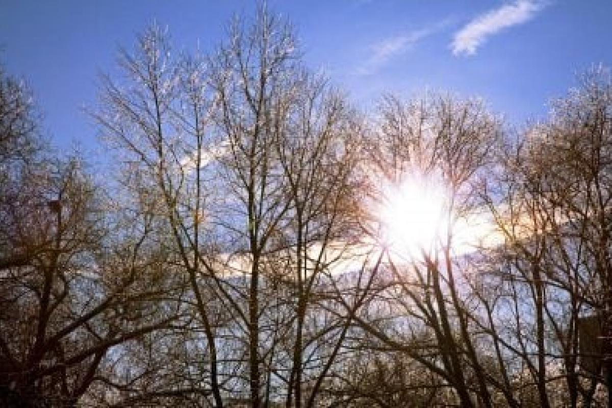 "Беспросветная серость и сырость разбавятся солнышком": Оптимистичный прогноз погоды на понедельник