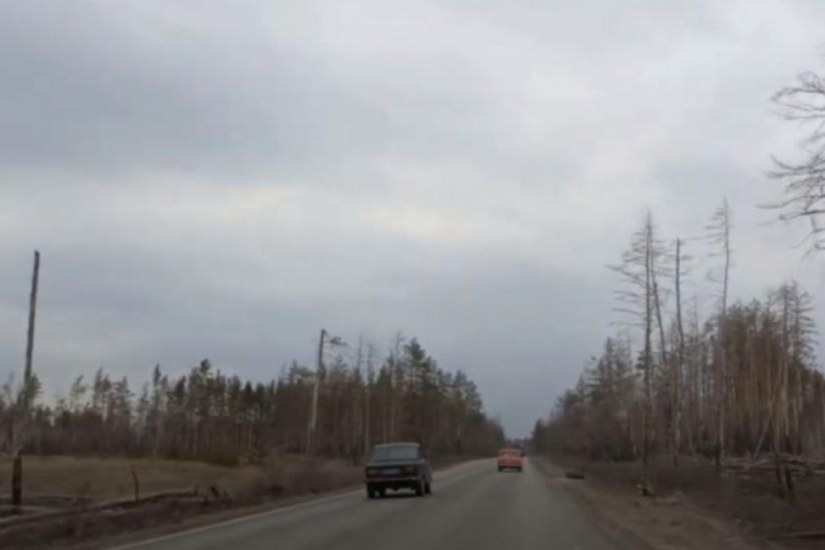 В сети показали, что осталось от леса вблизи Северодонецка В сети показали, что осталось от леса вблизи Северодонецка
