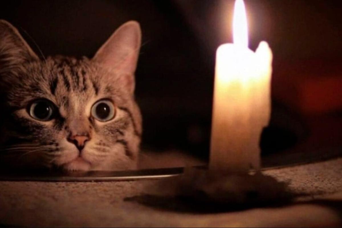 Отключения света будут продолжаться не менее 2 лет, - Energy Club Отключения света будут продолжаться не менее 2 лет, - Energy Club