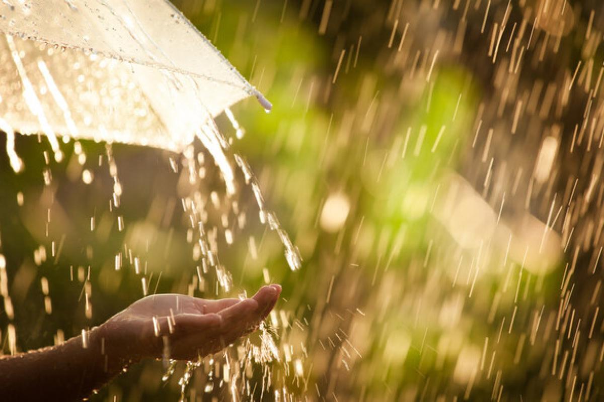 "Спекотна та дощова": синоптик спрогнозувала погоду на вихідні "Спекотна та дощова": синоптик спрогнозувала погоду на вихідні