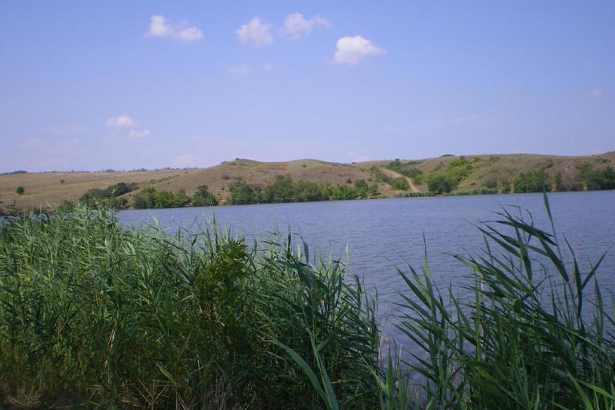 Трагедия Краснянского водохранилища: водный ресурс Луганщины на грани катастрофы Трагедия Краснянского водохранилища: водный ресурс Луганщины на грани катастрофы