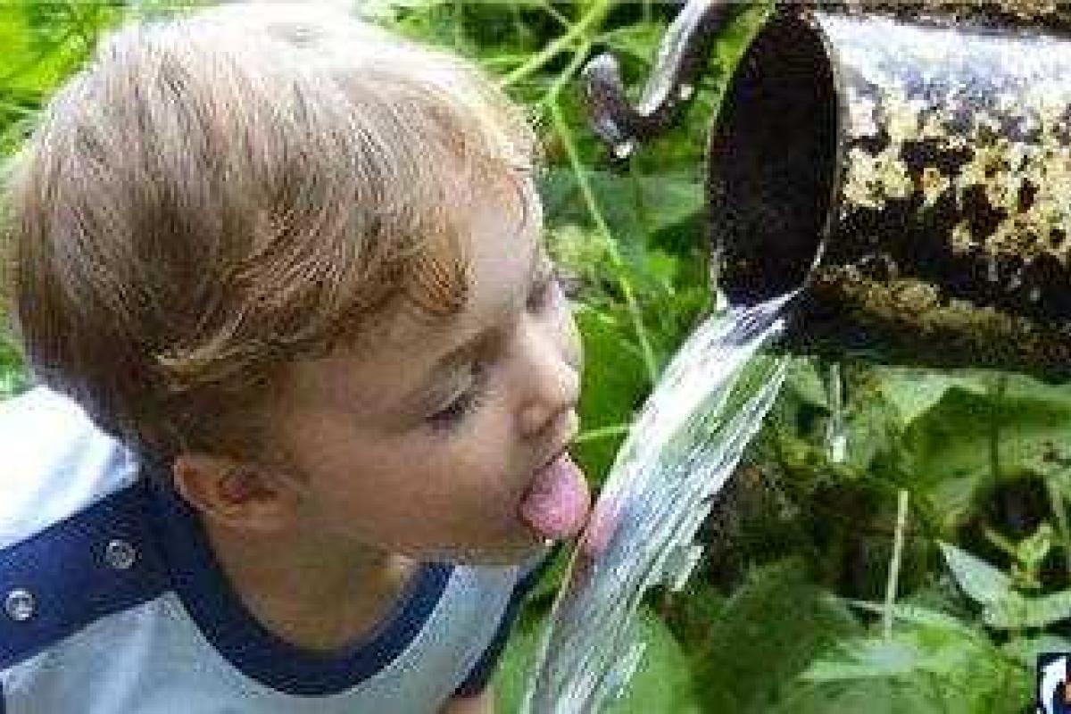 Как определить безопасность воды