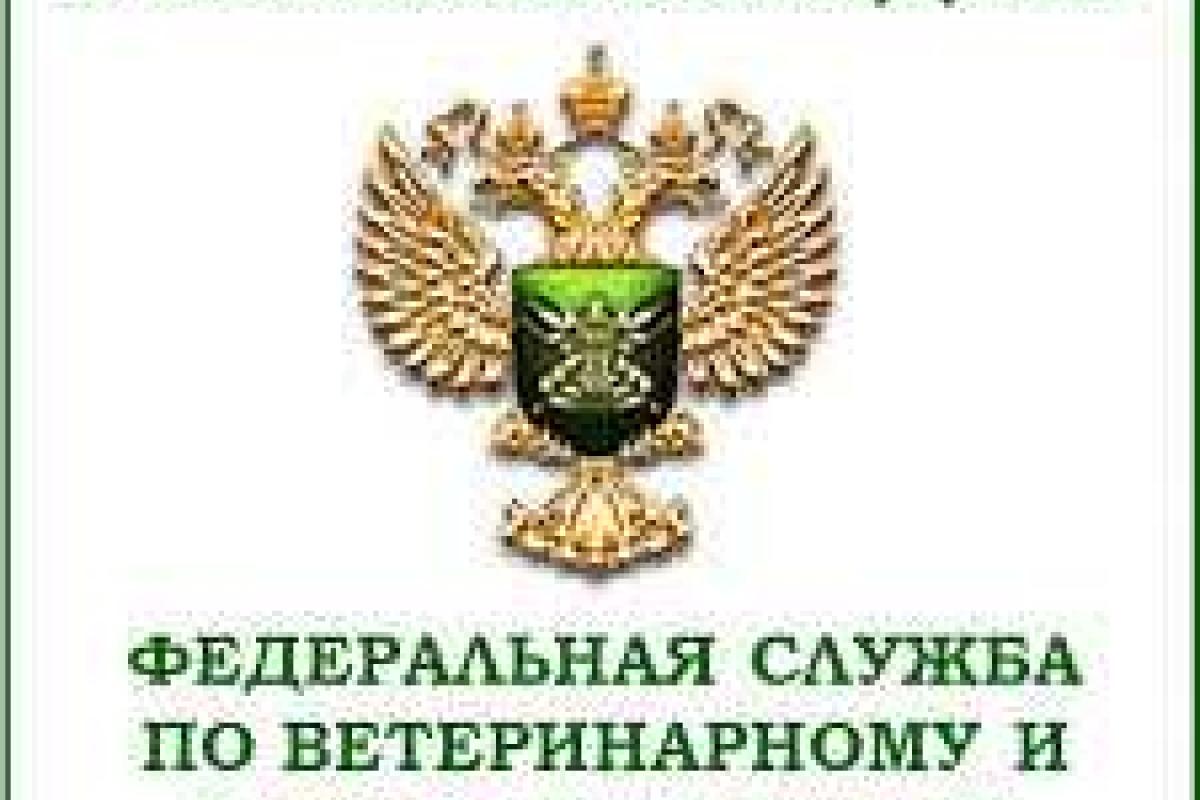 Россельхознадзор запретил ввоз мяса птицы из Украины в Узбекистан