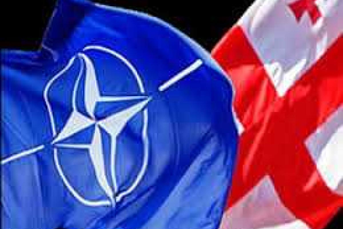 Грузия и НАТО ожидают усиления российского давления Грузия и НАТО ожидают усиления российского давления