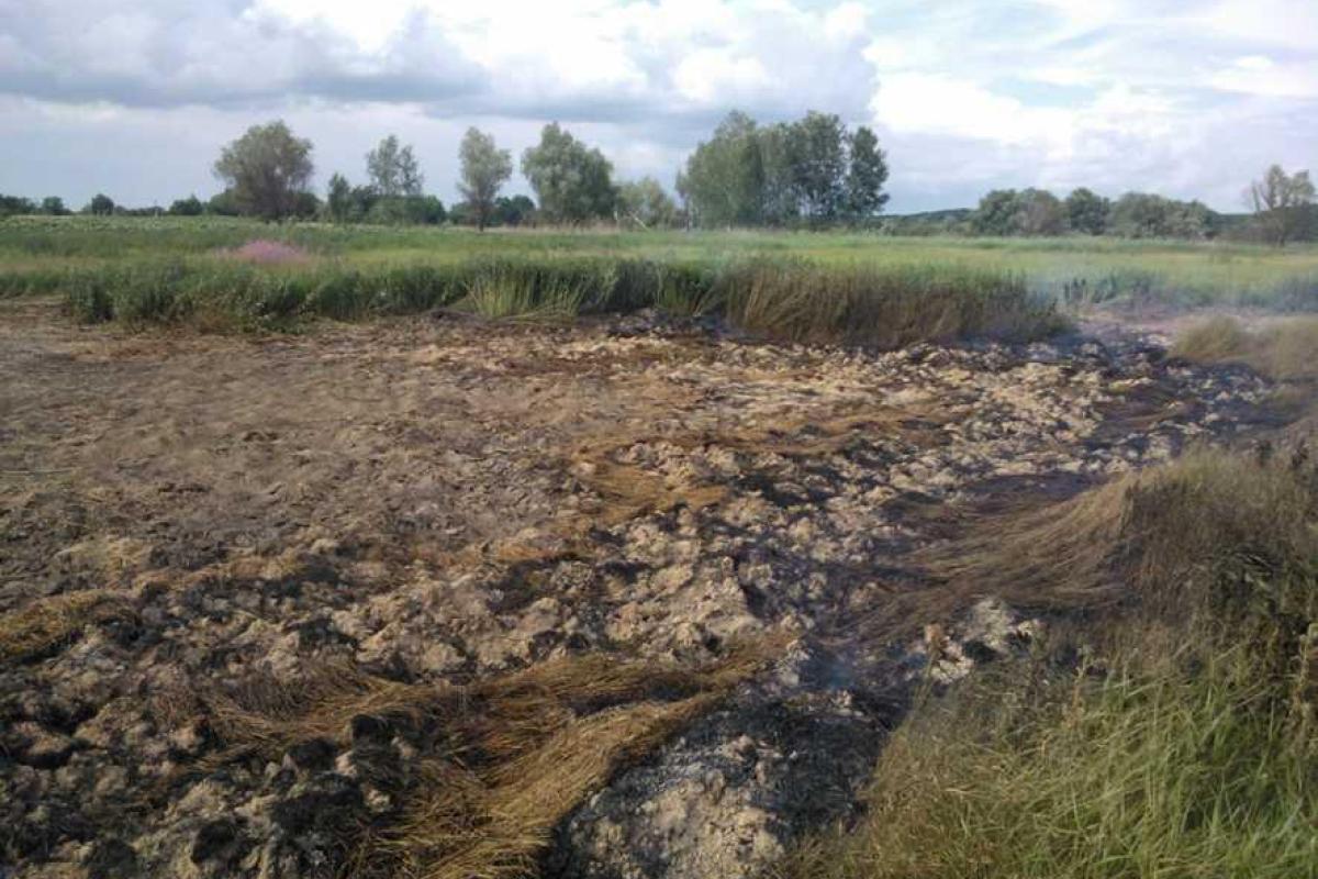 На Полтавщине спасатели ликвидируют торфяной пожар На Полтавщине спасатели ликвидируют торфяной пожар