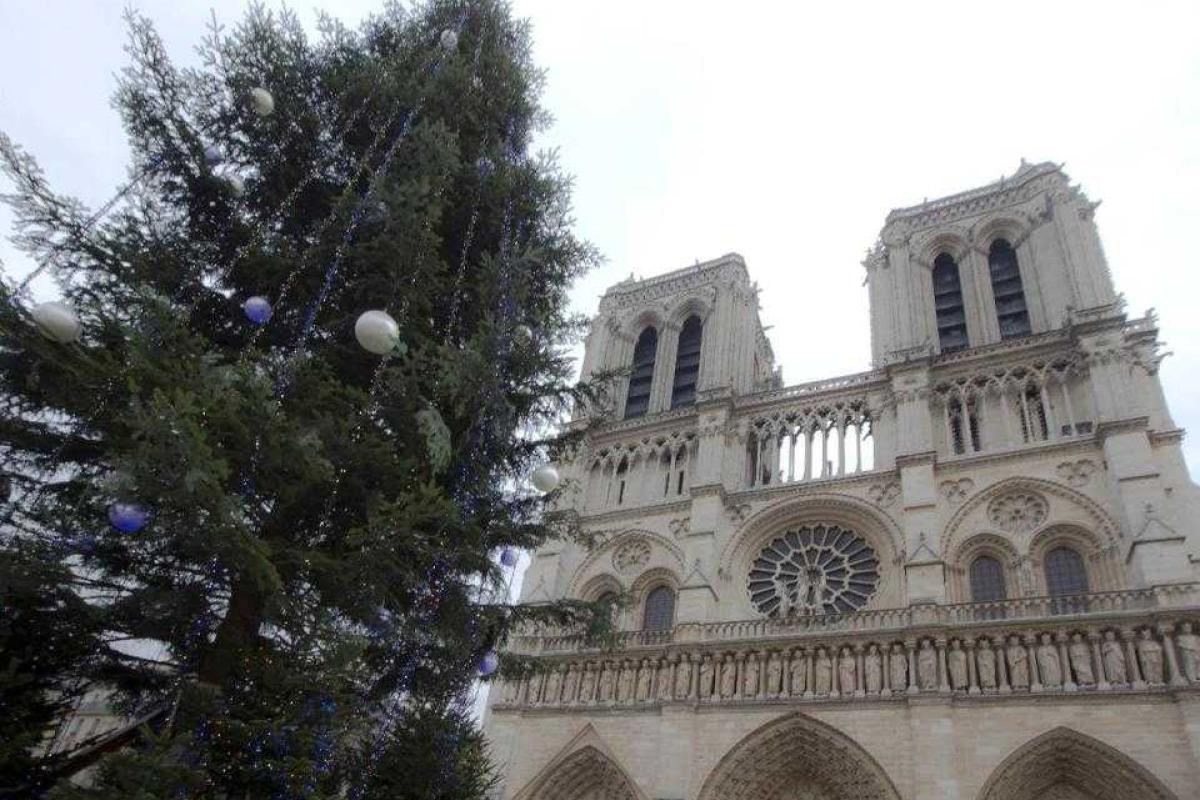 Россия подарила Парижу елку