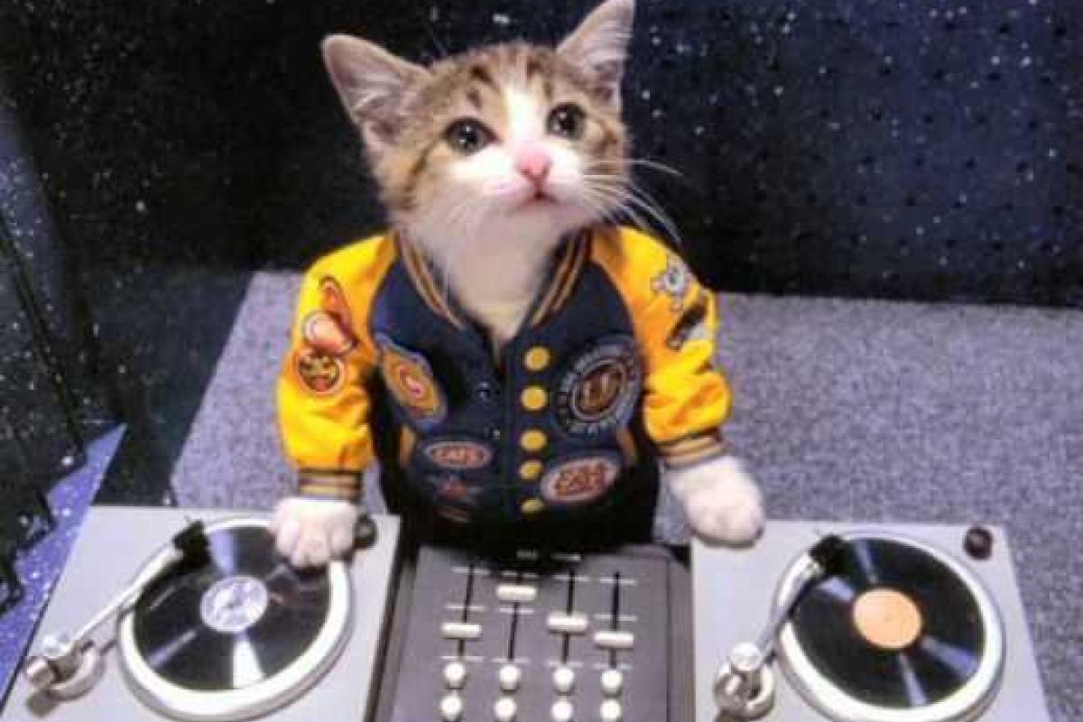 Советы для начинающих ди-джеев