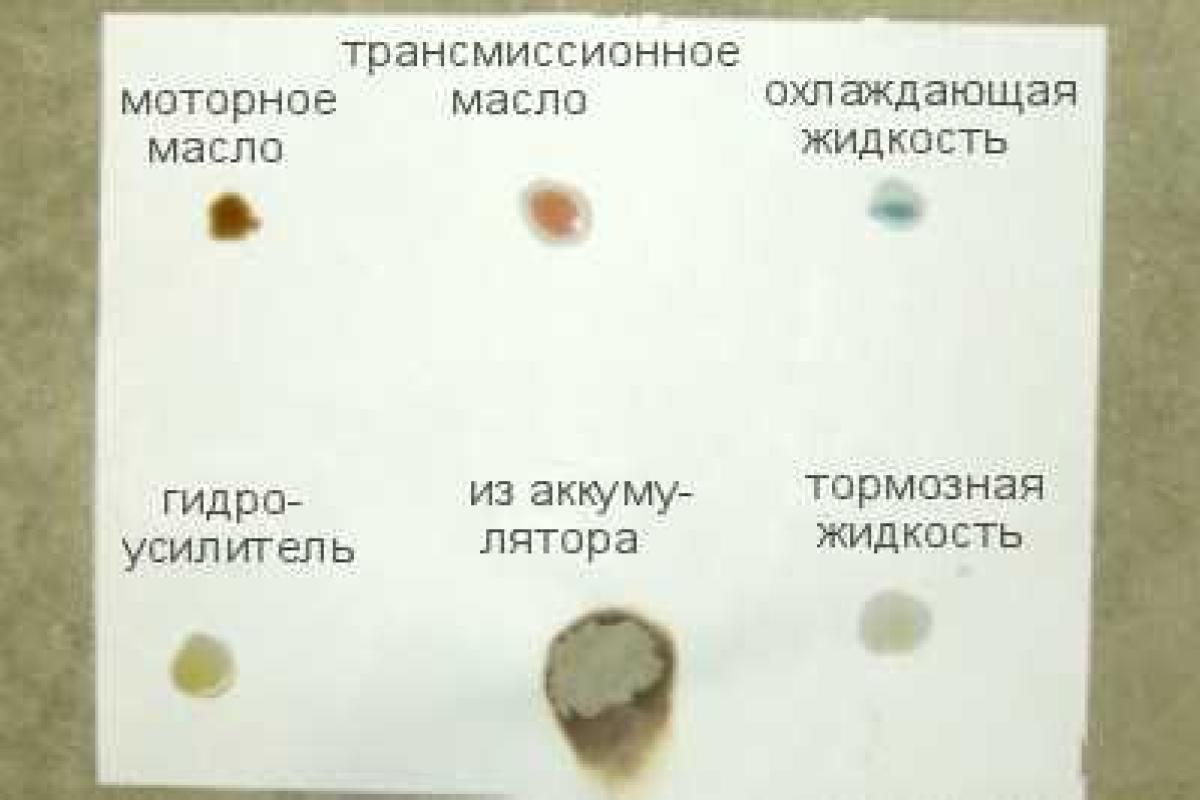 Лужи под машиной? Разбираемся, что вытекает Лужи под машиной? Разбираемся, что вытекает