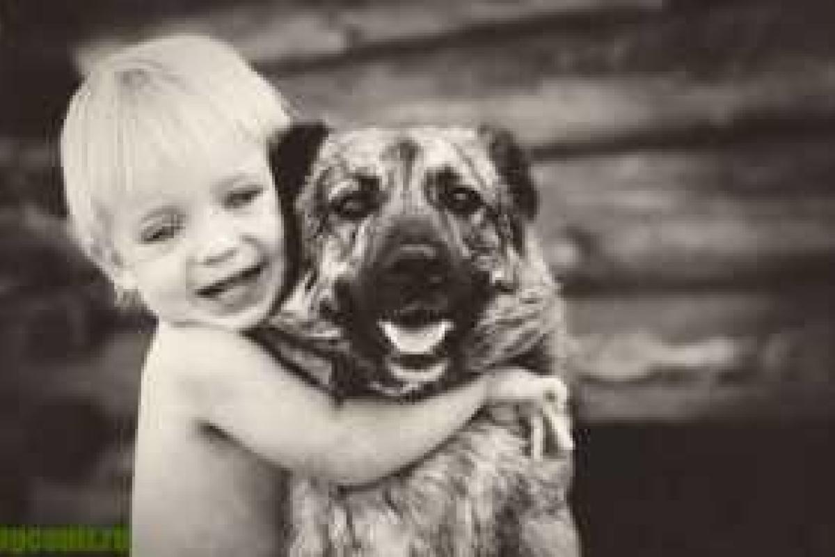 Ученые раскрыли секрет любви людей и собак