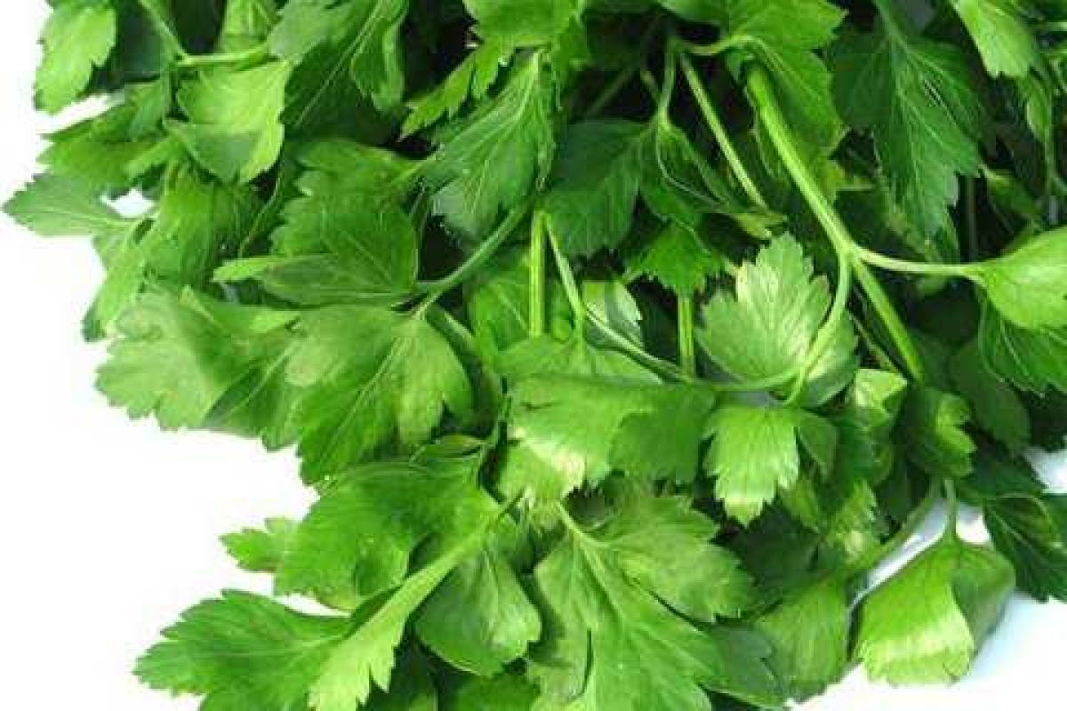 Какие продукты делают женщин счастливыми Какие продукты делают женщин счастливыми