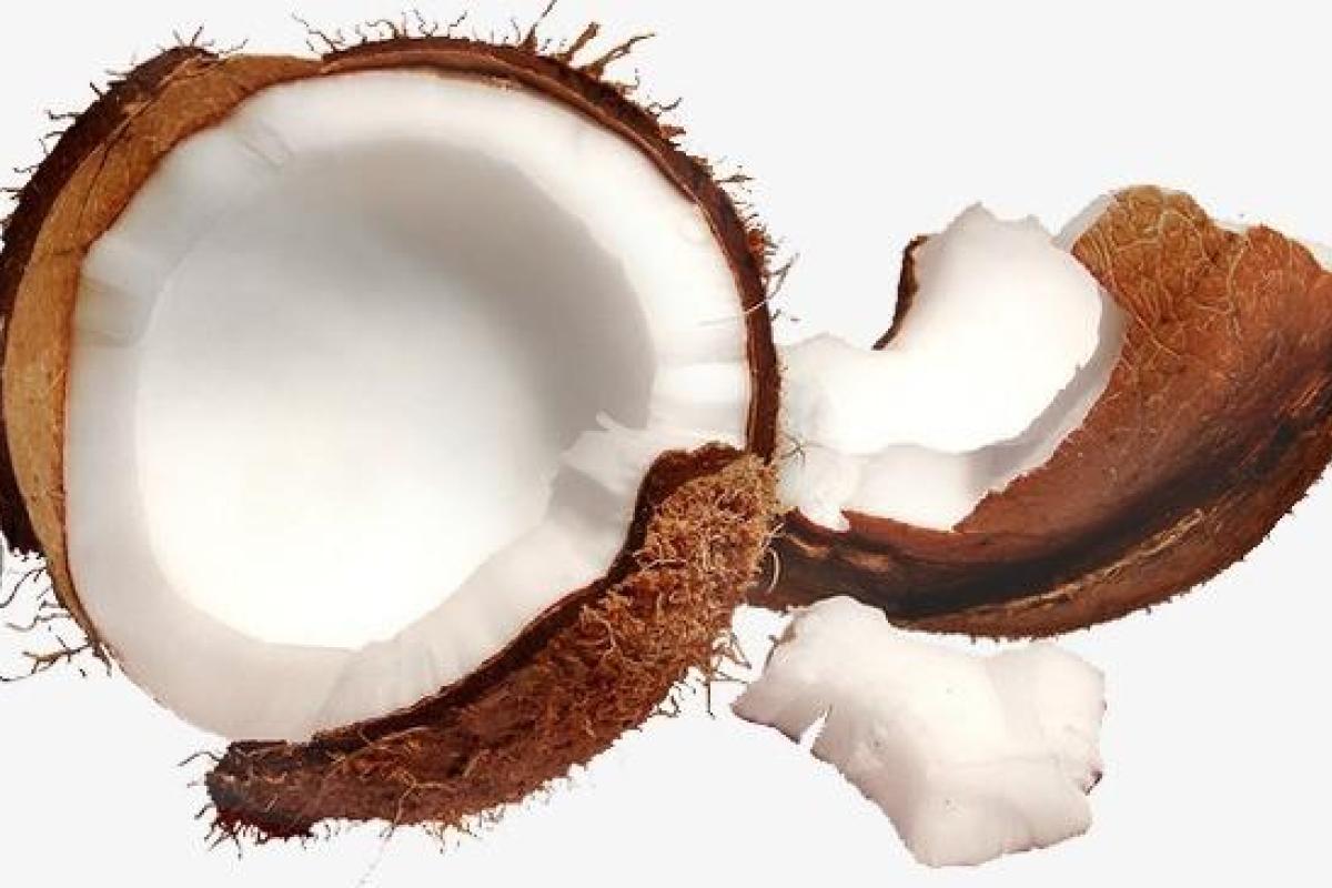 Разнообразие и полезные свойства кокосовой продукции