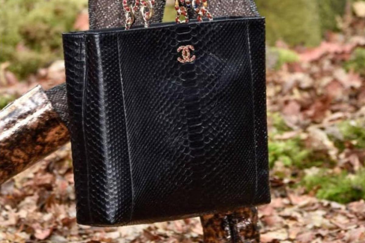 Chanel запрещает мех и экзотическую кожу животных в своих коллекциях Chanel запрещает мех и экзотическую кожу животных в своих коллекциях