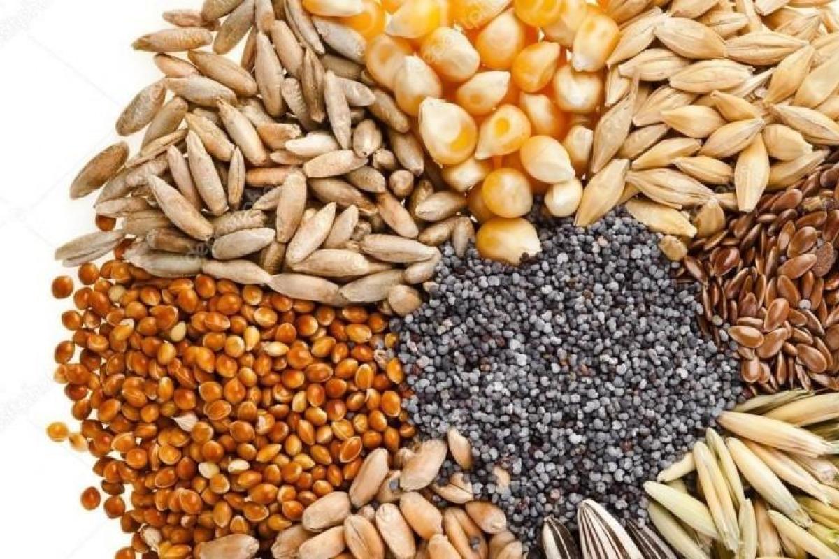 Зерновые культуры – костяк сельского хозяйства Украины Зерновые культуры – костяк сельского хозяйства Украины