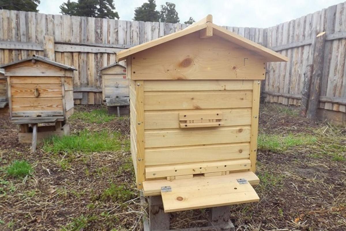 Пчеловодство: известный улей Дадана Пчеловодство: известный улей Дадана