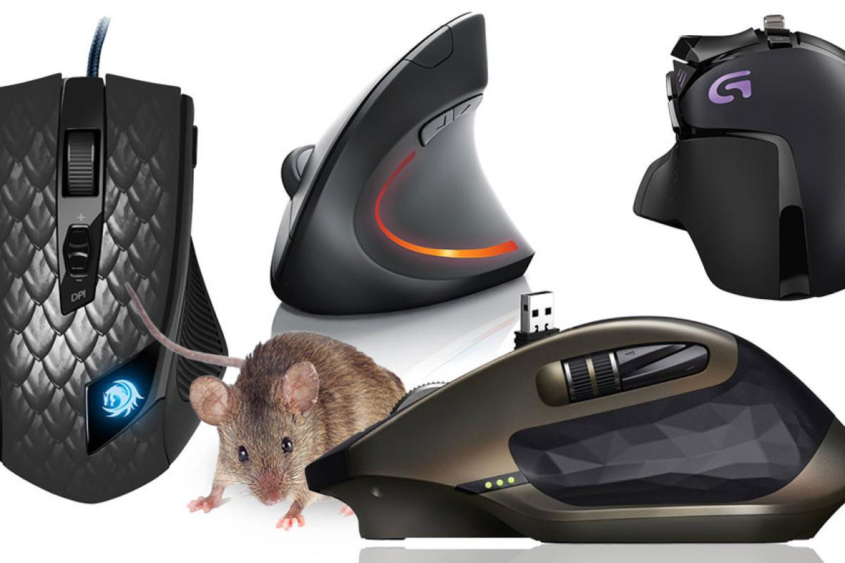 Как выбрать компьютерную мышь, чтобы не уставала рука
