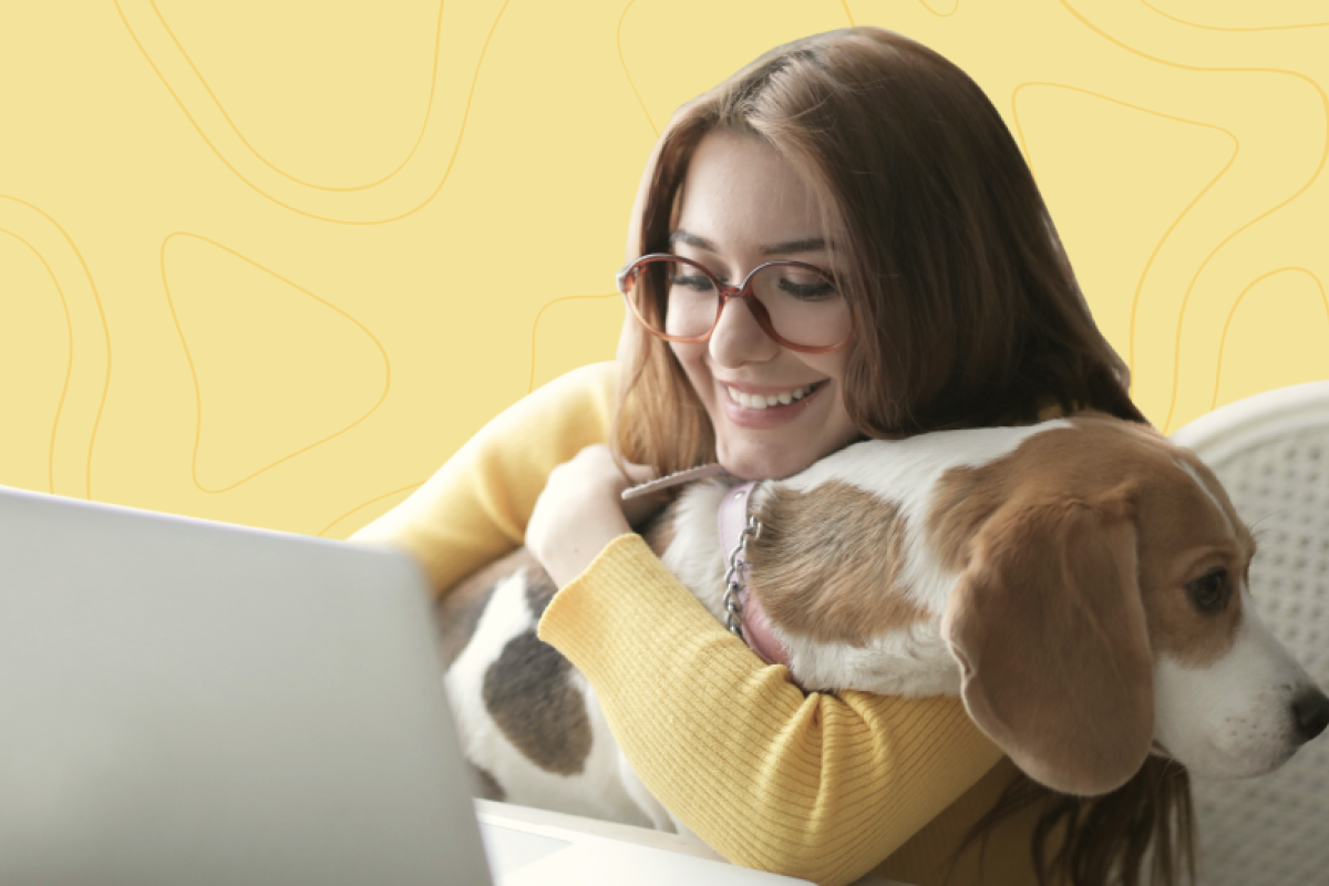 Как обустроить офис дома и работать с комфортом Как обустроить офис дома и работать с комфортом
