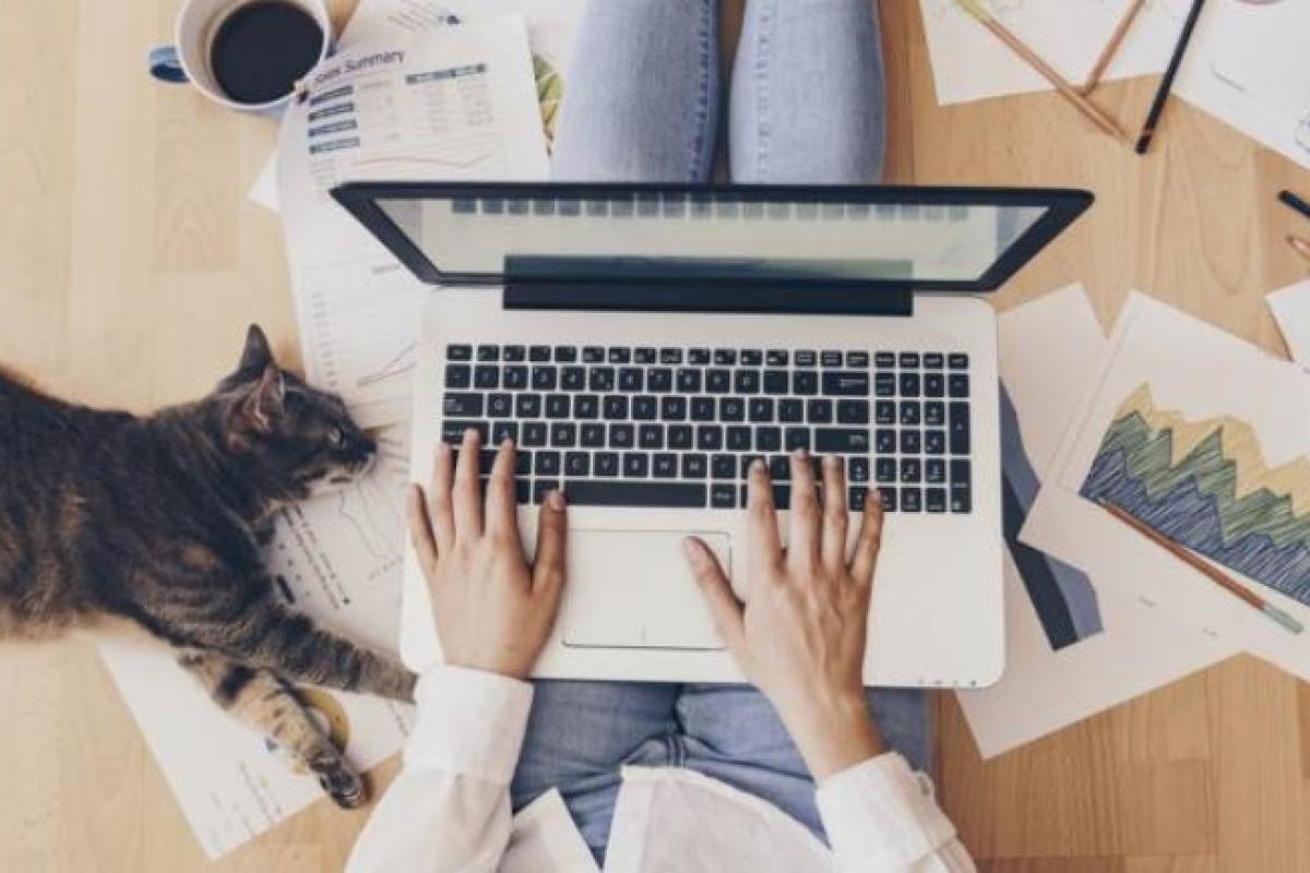 Интернет в Ровно: как проверить провайдера Интернет в Ровно: как проверить провайдера