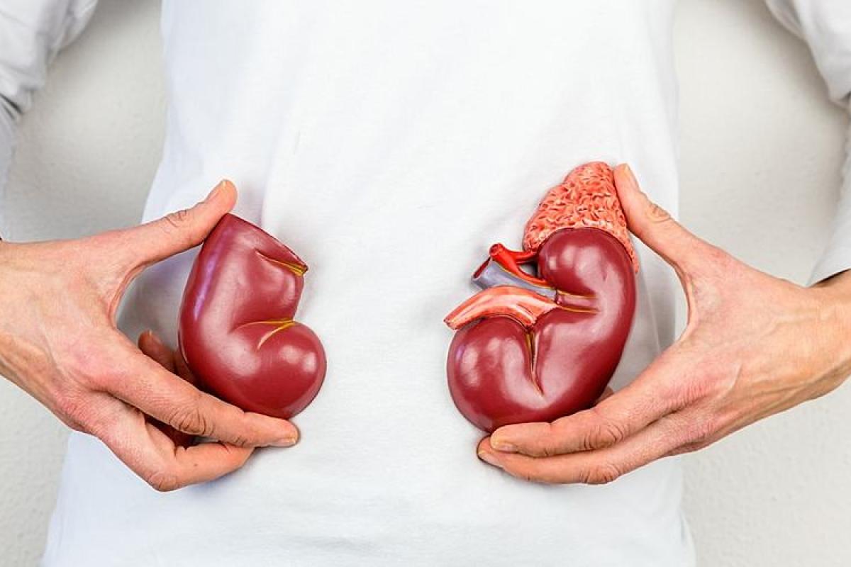 Причины и симптомы боли в почках