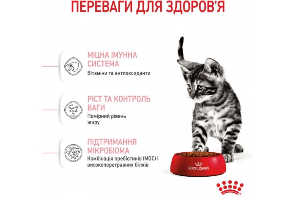 Основні переваги корму для котів і собак Royal Canin Основні переваги корму для котів і собак Royal Canin