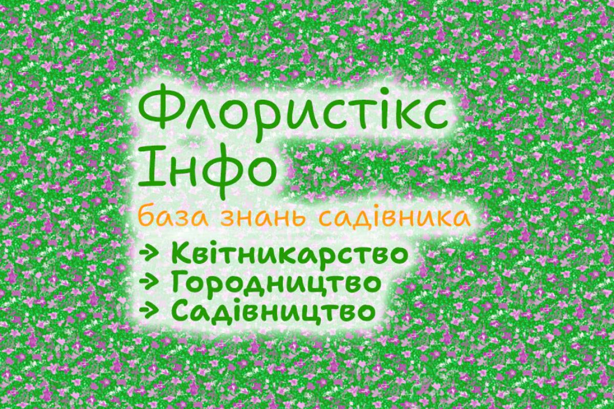 Флористикс Інфо: база знань садівника – для початківця і професіонала Флористикс Інфо: база знань садівника – для початківця і професіонала
