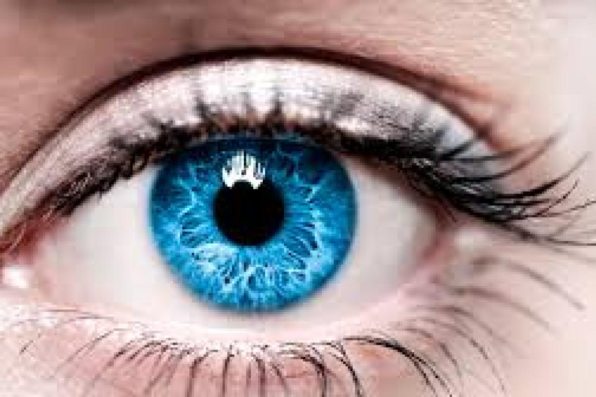 Понимание заболеваний сетчатки: ключевые аспекты и тенденции