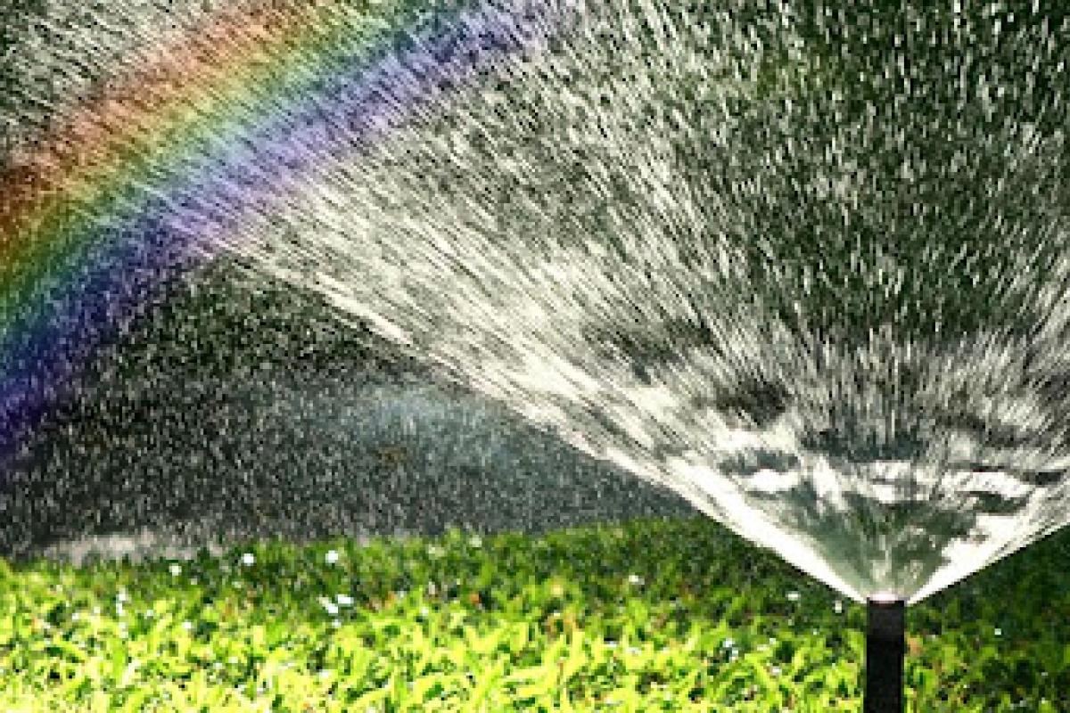 Подготовка почвы и установки для систем автоматического полива Подготовка почвы и установки для систем автоматического полива