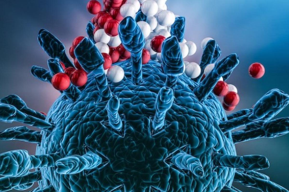Противоопухолевые препараты: основные категории и их значение Противоопухолевые препараты: основные категории и их значение