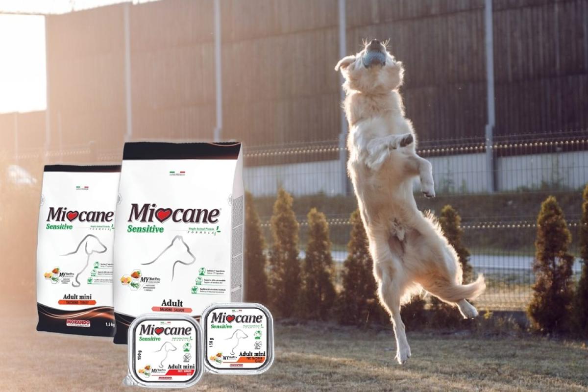 монопротеїновий корм