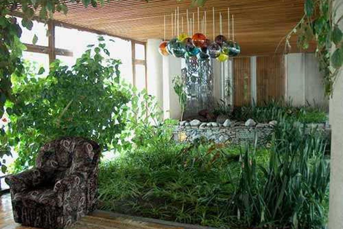 Летний курорт для комнатных растений Летний курорт для комнатных растений