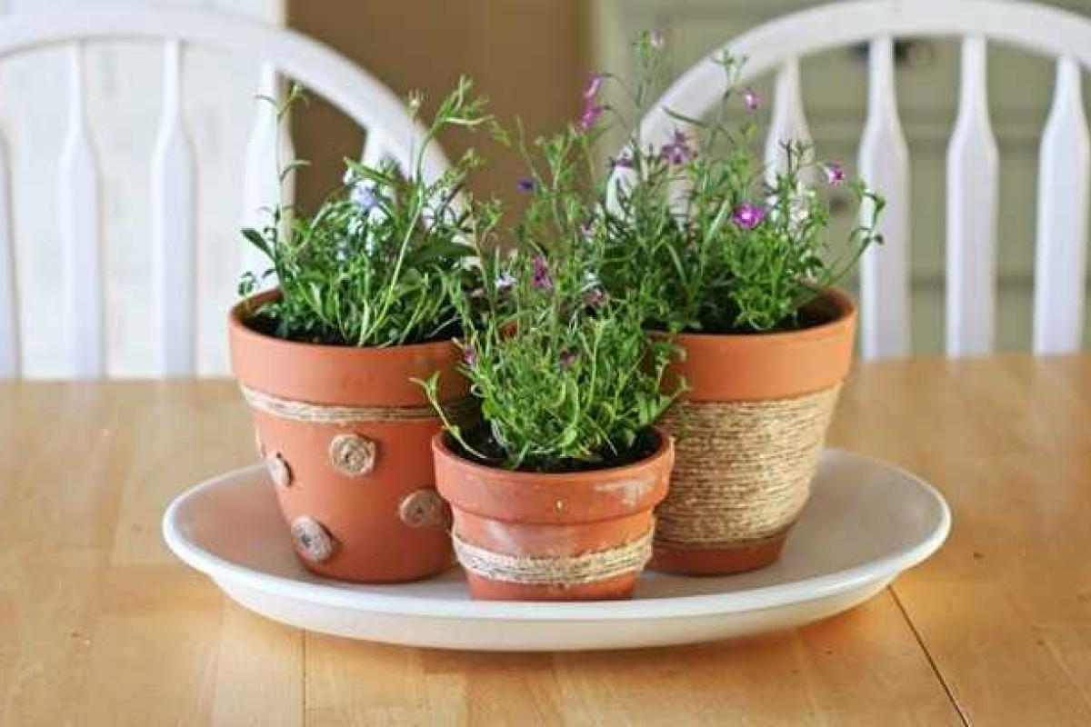 Декор цветочных горшков с помощью веревки Декор цветочных горшков с помощью веревки