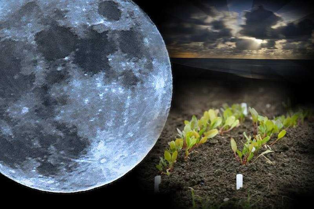 Лунный посевной календарь Лунный посевной календарь