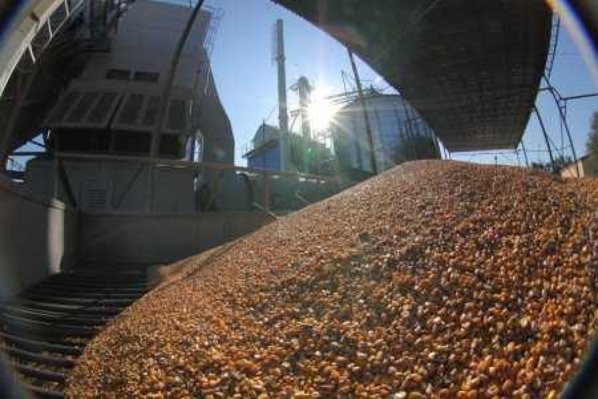 ОАО "Мироновский хлебопродукт" вернул в госбюджет незаконно полученные 18 млн. грн.