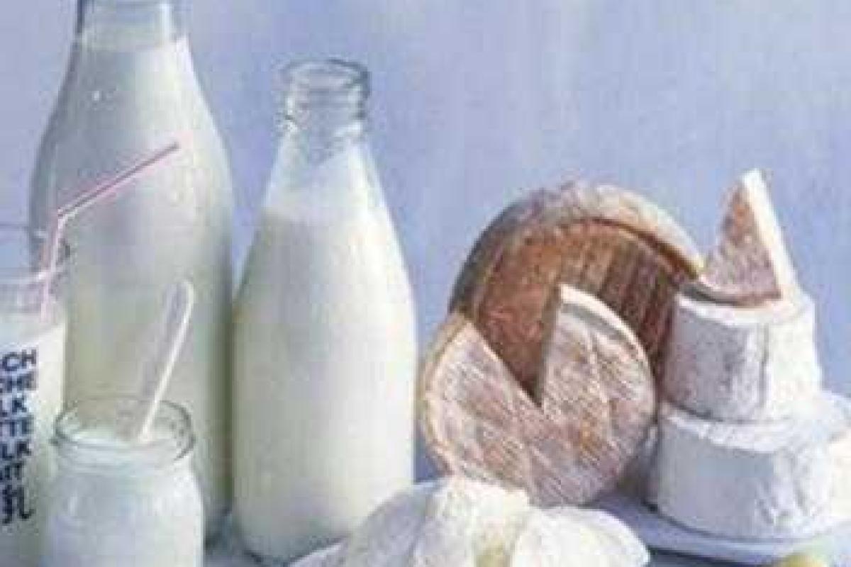 Специалисты выяснили, как молоко влияет на память