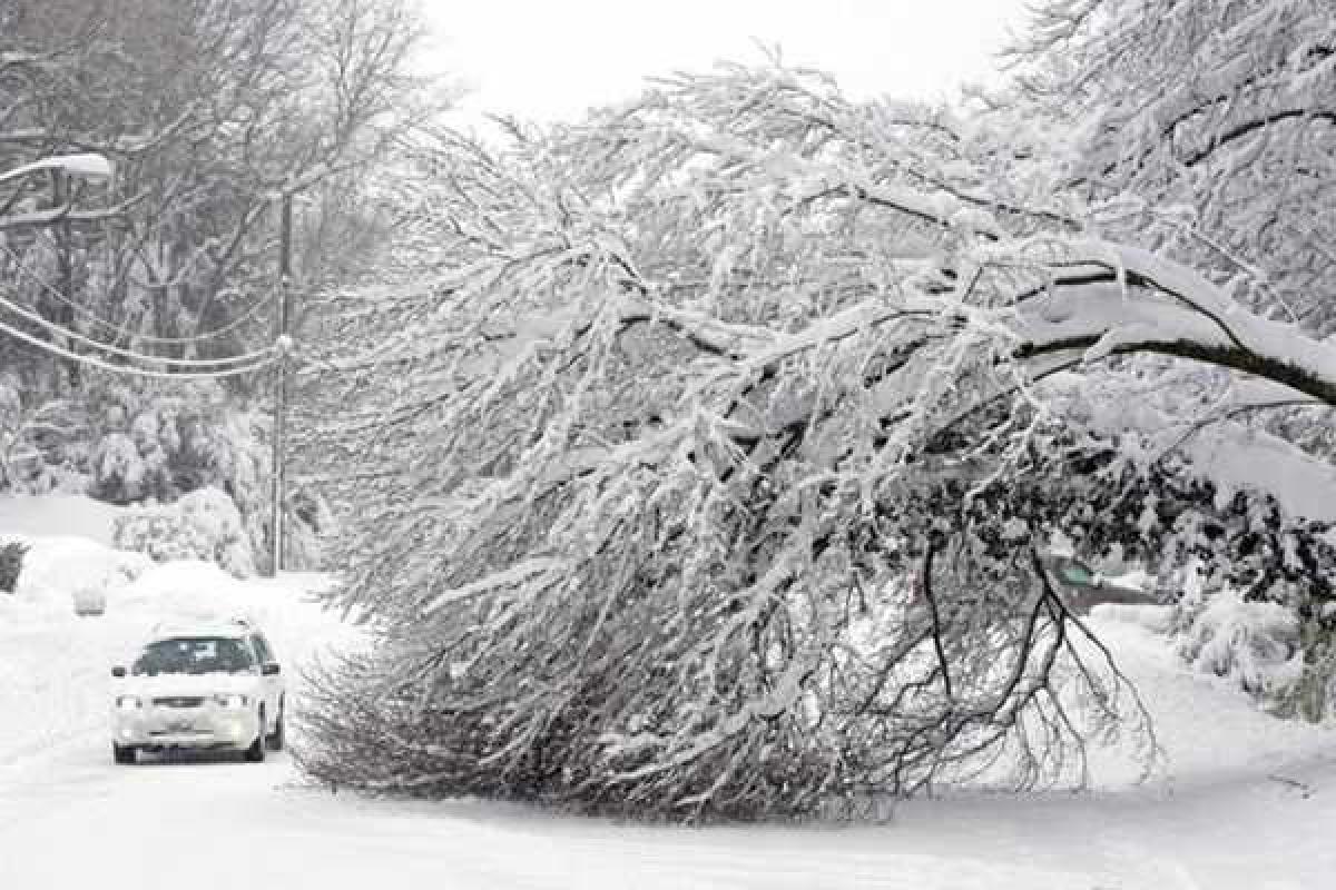 США завалило снегом: самолеты не летают и не едут поезда