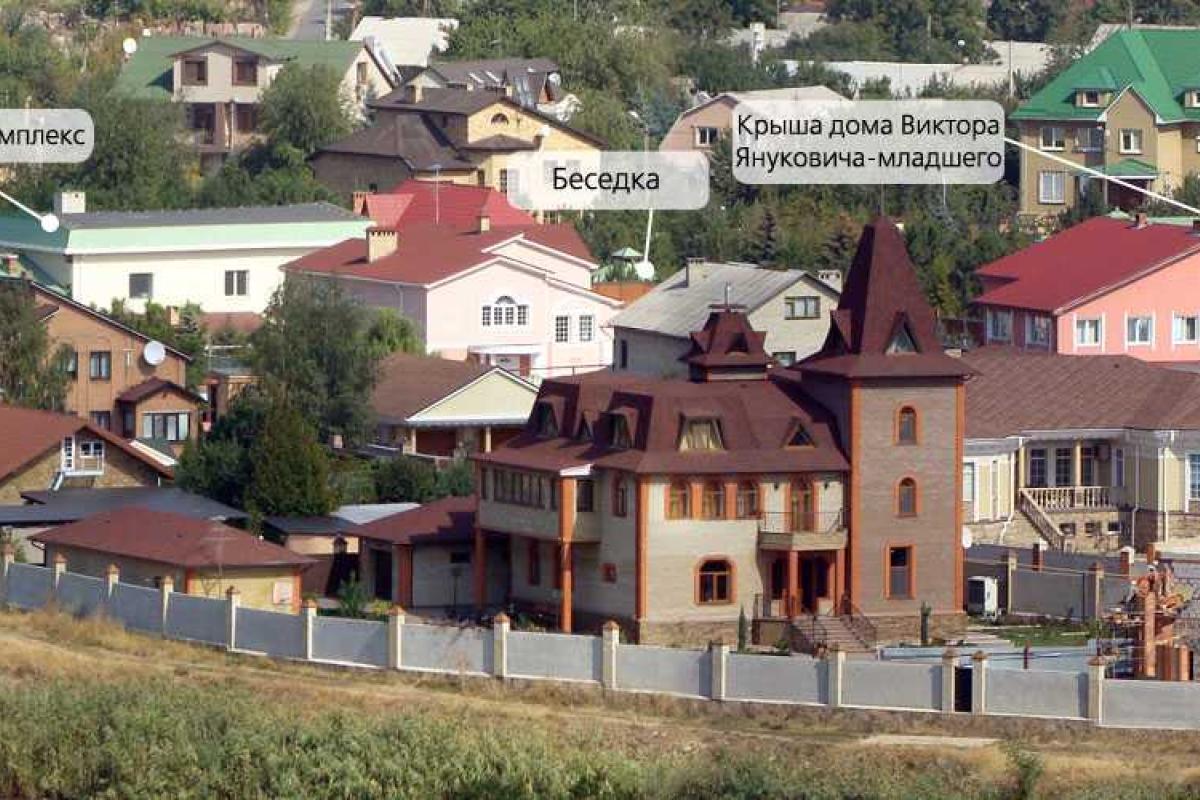 Донецкий Автомайдан поедет в имение Януковичей