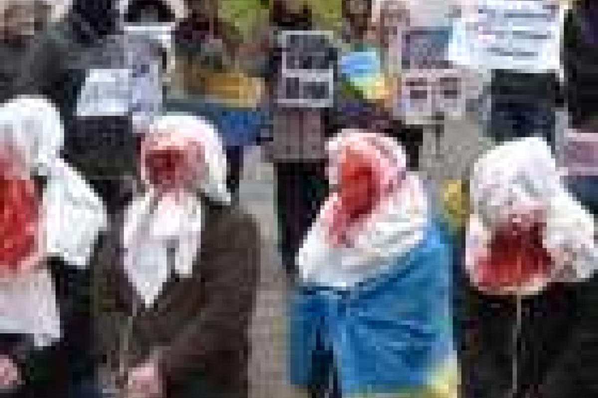 Украинцы в Вене требовали от МИД Австрии санкций против украинской власти Украинцы в Вене требовали от МИД Австрии санкций против украинской власти