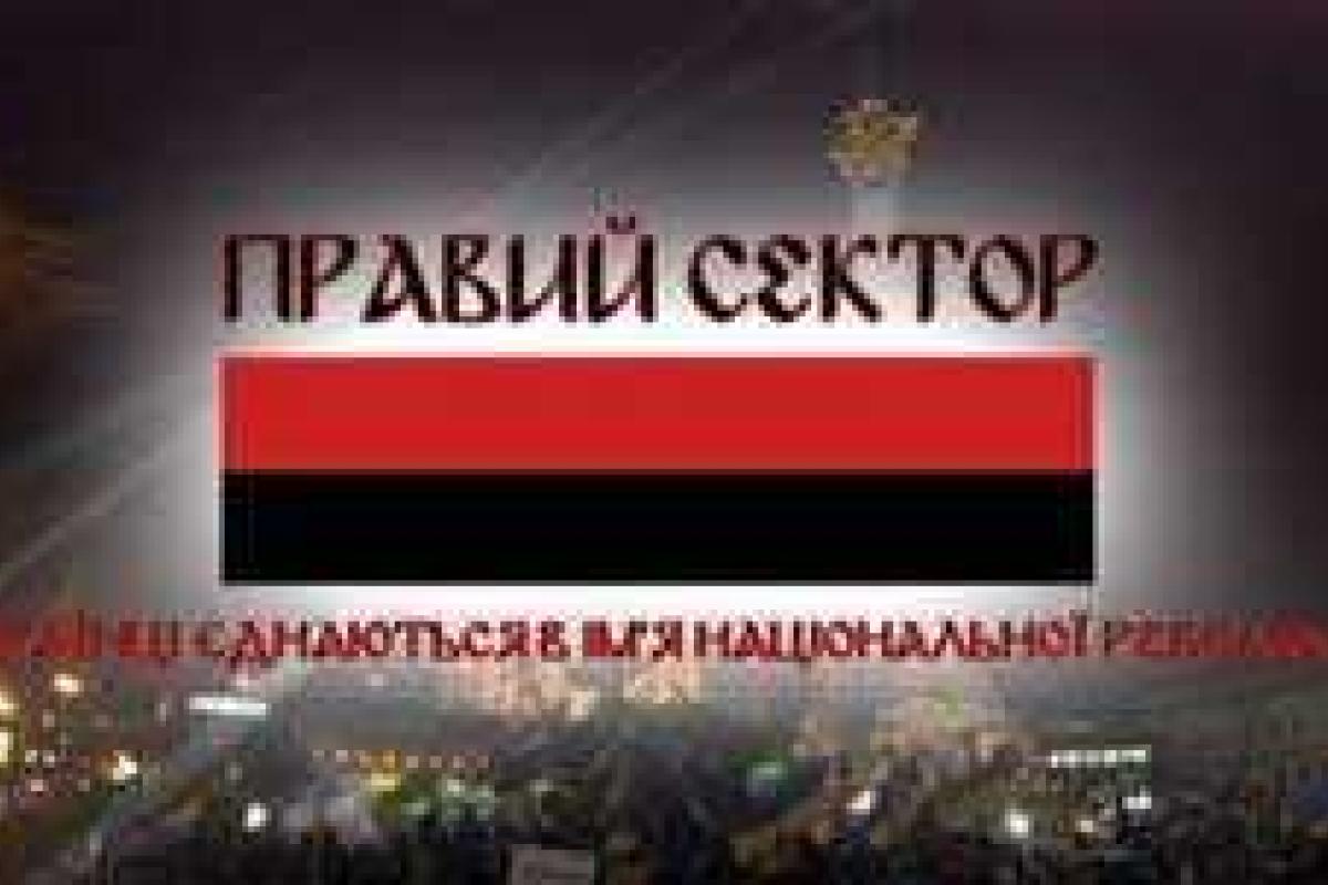 «Правый сектор» не армия и не террористическая организация - Луценко