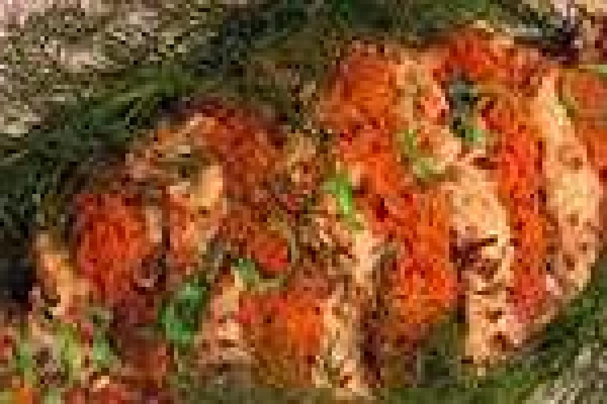 Конфетка с сюрпризом