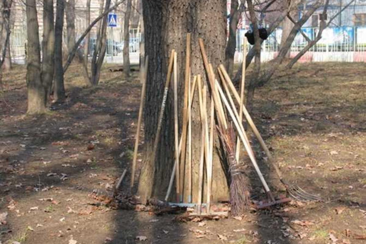 В Киеве начинается двухмесячник по благоустройству В Киеве начинается двухмесячник по благоустройству