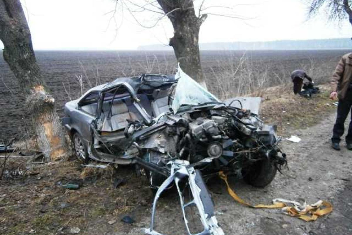 Водитель «BMW» погиб, врезавшись в дерево, на Житомирщине Водитель «BMW» погиб, врезавшись в дерево, на Житомирщине