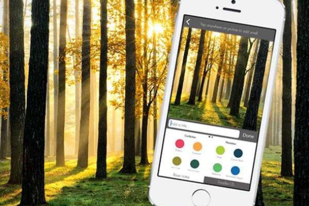 У Instagram появится конкурент с запахом У Instagram появится конкурент с запахом