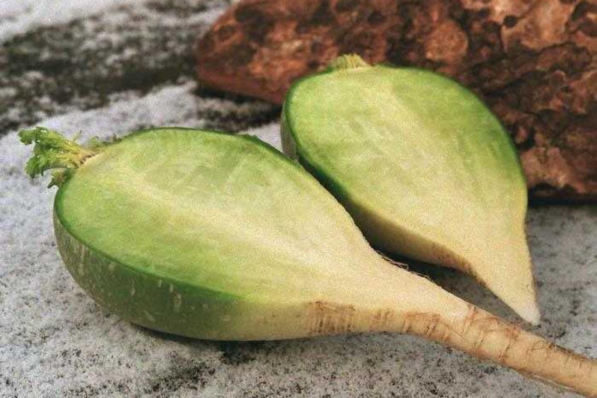 Состав зеленой редьки Состав зеленой редьки