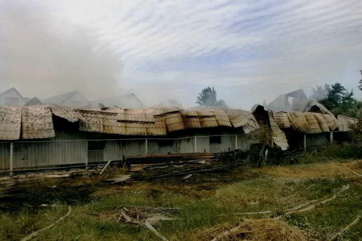Черкасская область: пожарные ликвидировали пожар, уничтоживший хозяйственное здание и автомобиль Черкасская область: пожарные ликвидировали пожар, уничтоживший хозяйственное здание и автомобиль