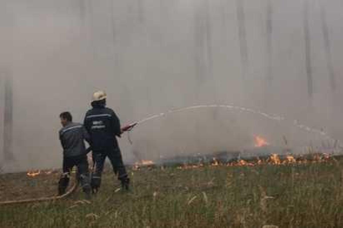 В Луганской области горело лесоохотничье хозяйство общей площадью 31 га В Луганской области горело лесоохотничье хозяйство общей площадью 31 га