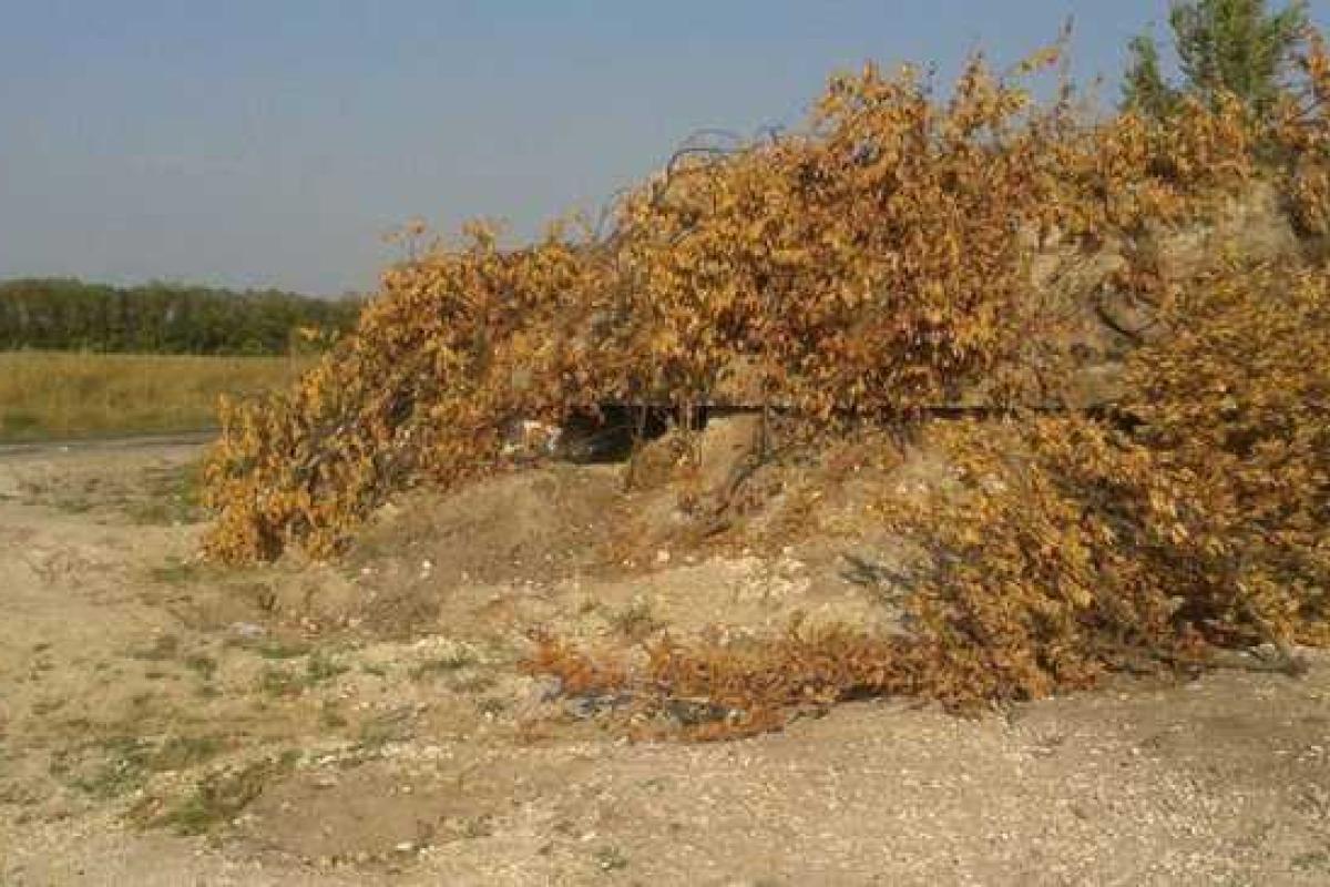 Нацгвардия наткнулась на засаду террористов вблизи Лисичанска Нацгвардия наткнулась на засаду террористов вблизи Лисичанска