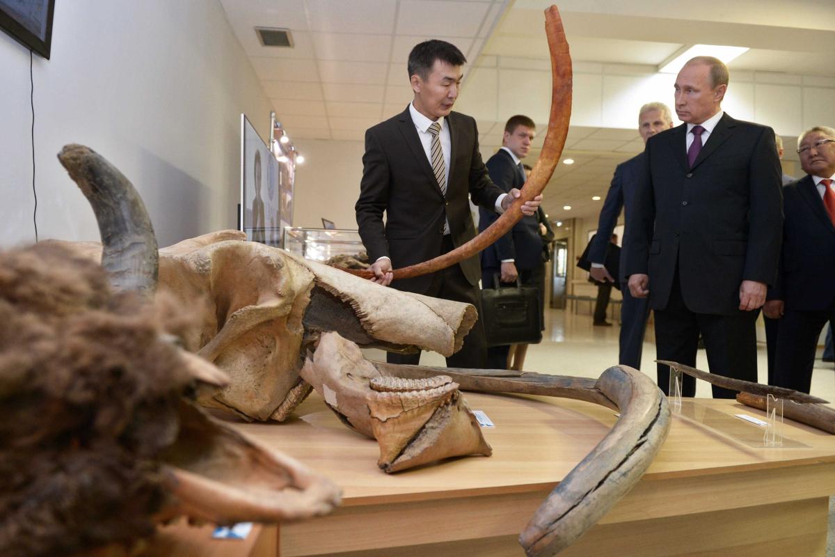 Путин заинтересовался клонированием мамонтов Путин заинтересовался клонированием мамонтов
